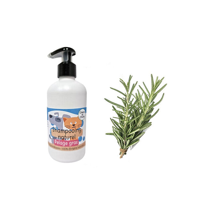 Shampoing naturel Chiens & Chats - Pelage Gras
