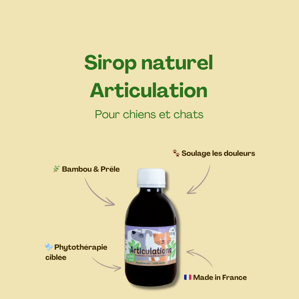 Sirop naturel Articulation Chiens & Chats